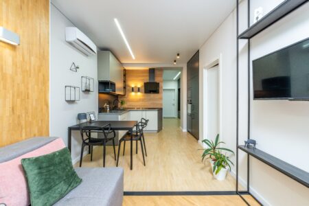 Contemporary apartment with living room and kitchen